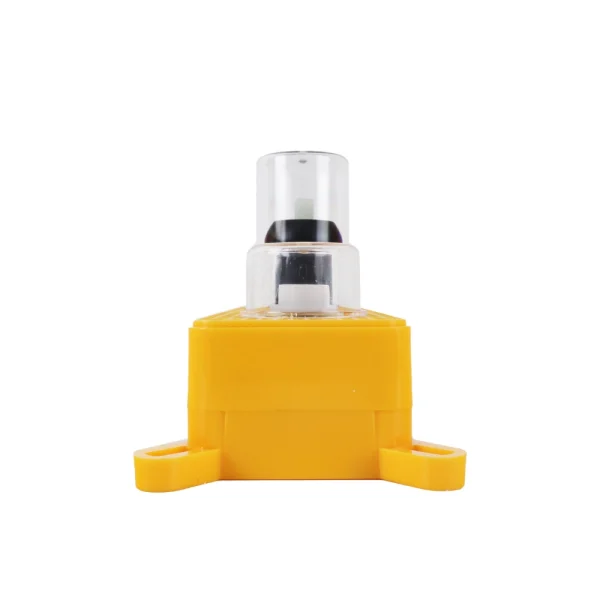 Coso FM 2077