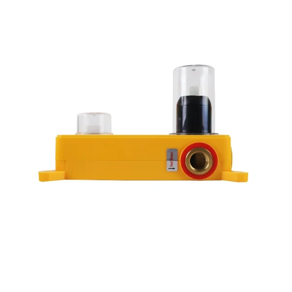 Coso FM 2077